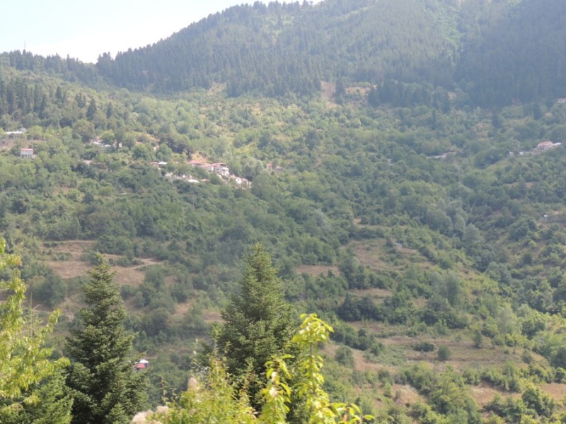 DSCN1343.jpg