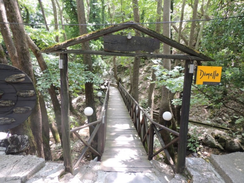 DSCN1348.jpg