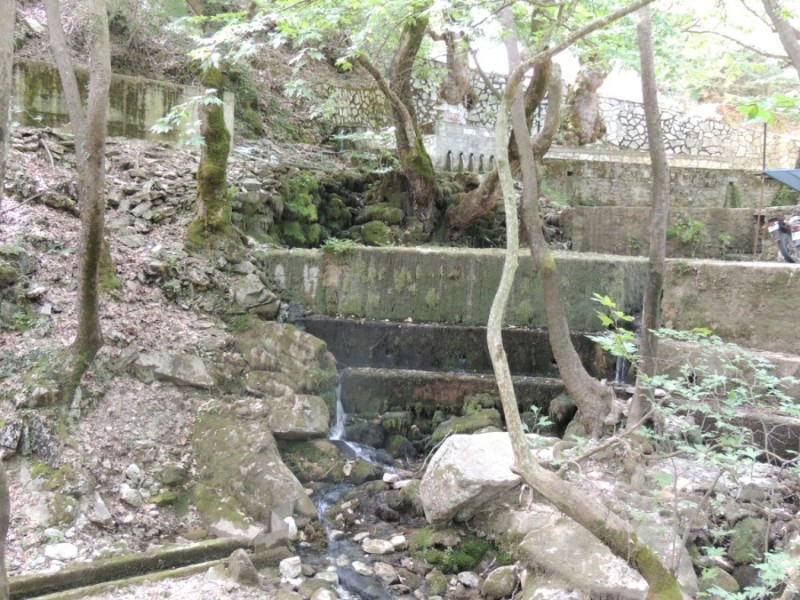 DSCN1350.jpg