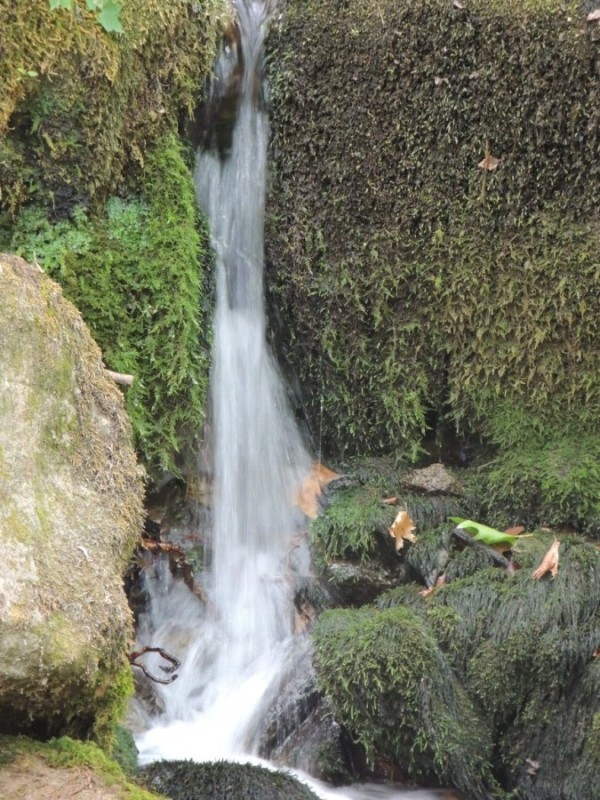 DSCN1351.jpg