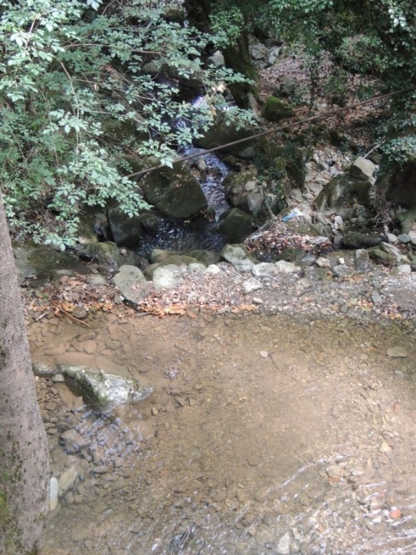 DSCN1352.jpg