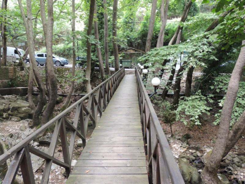 DSCN1353.jpg