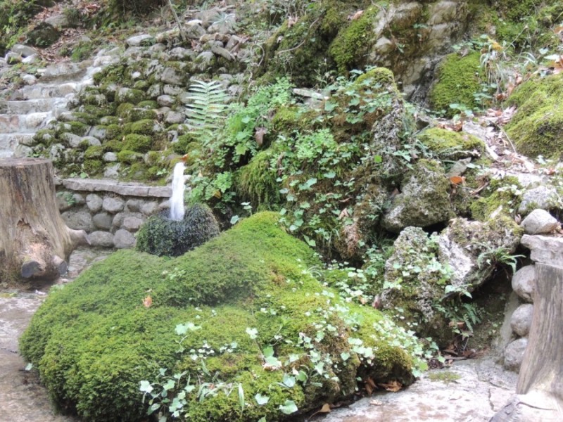 DSCN1354.jpg