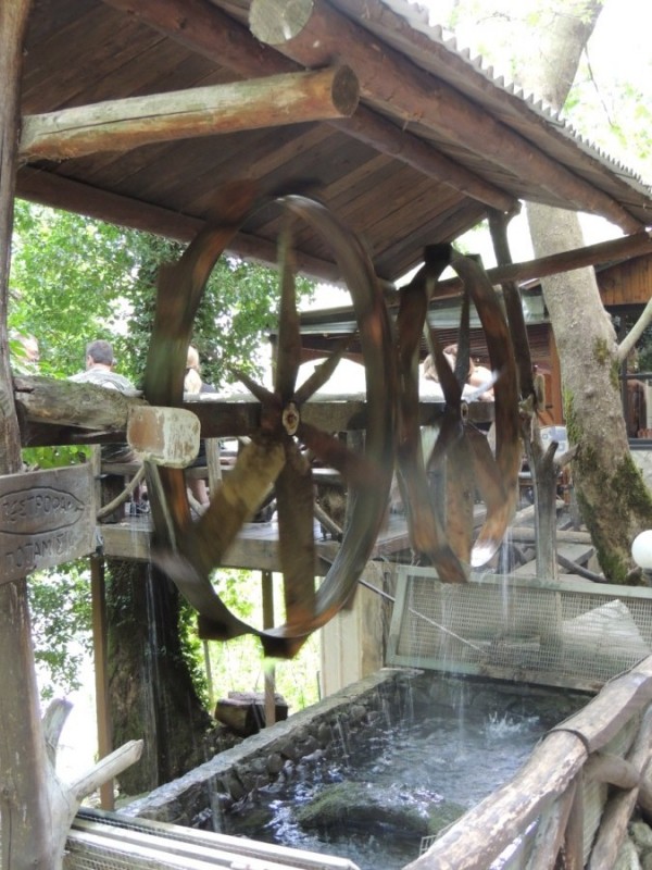 DSCN1355.jpg