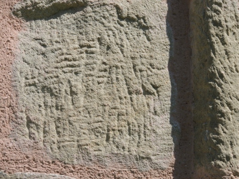 DSCN1374.jpg