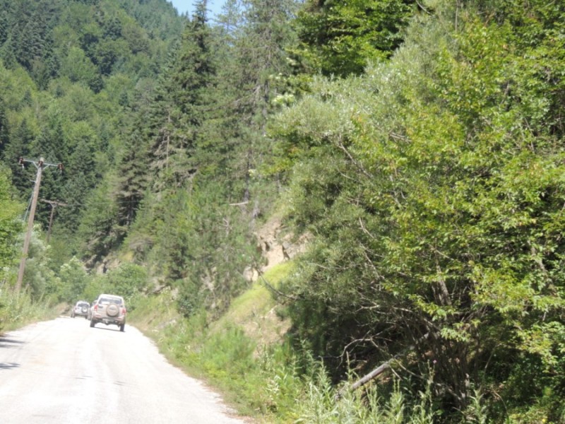 DSCN1381.jpg