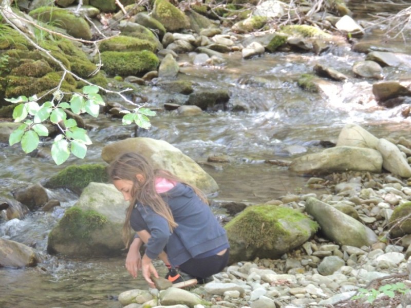 DSCN1390.jpg