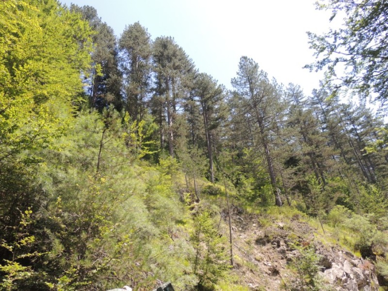 DSCN1392.jpg