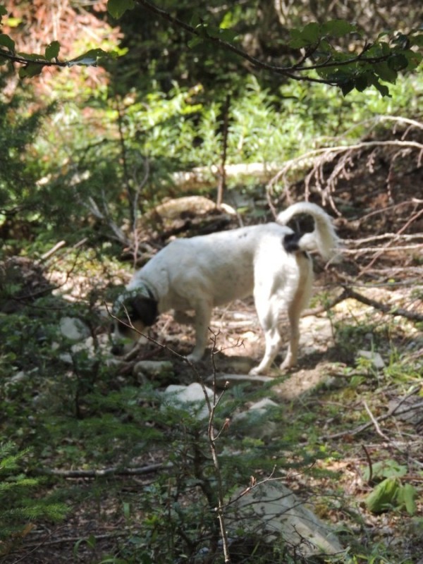 DSCN1398.jpg