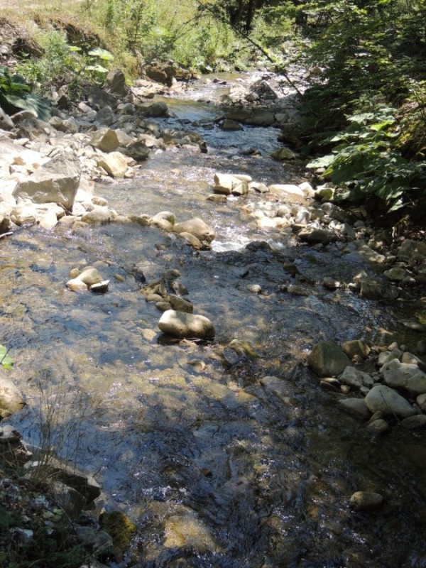 DSCN1400.jpg