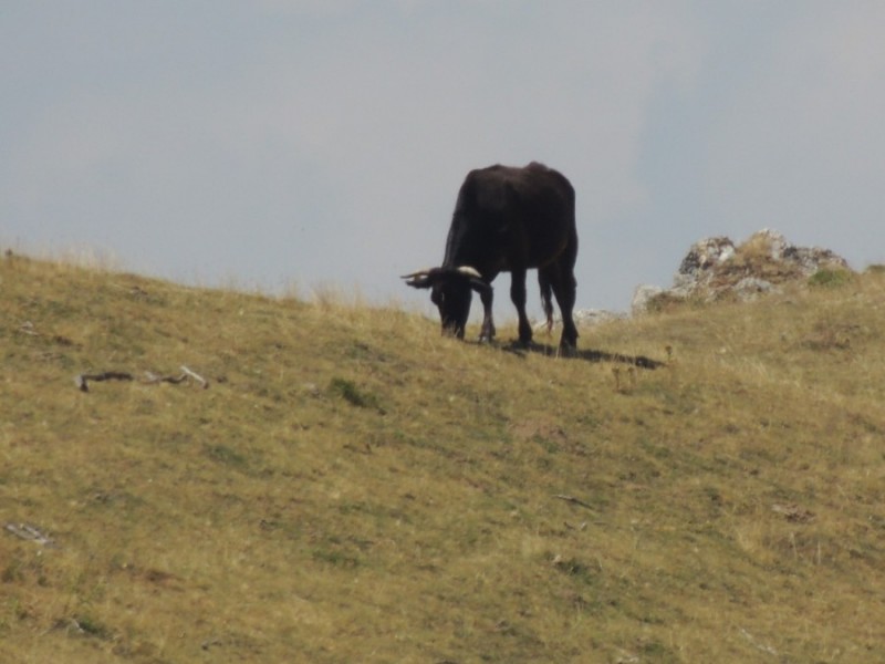 DSCN1403.jpg