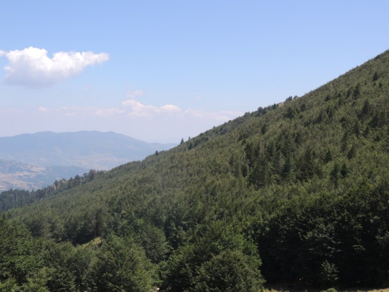 DSCN1409.jpg