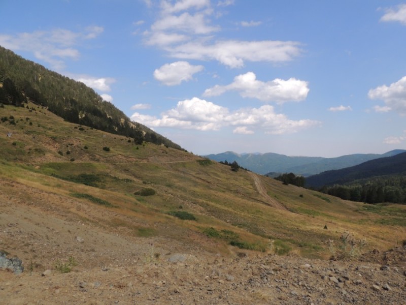 DSCN1415.jpg