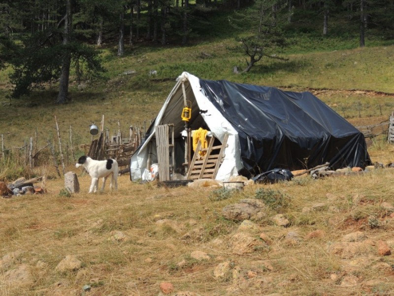 DSCN1416.jpg