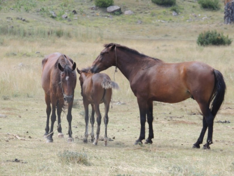 DSCN1418.jpg