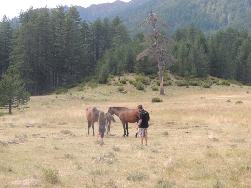 DSCN1420.jpg