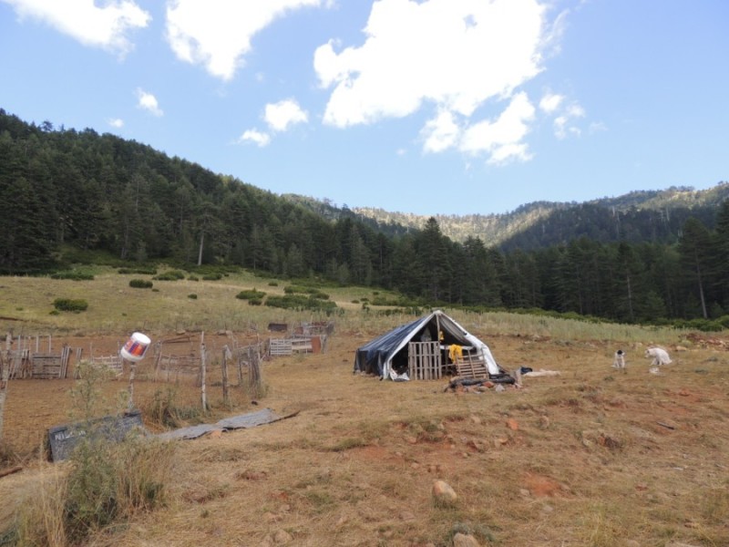 DSCN1429.jpg