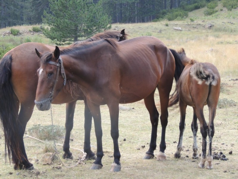 DSCN1430.jpg