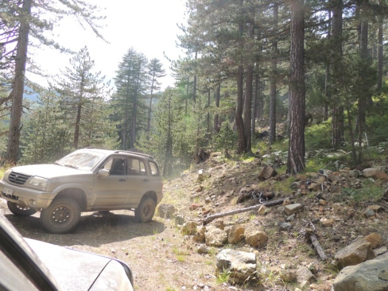 DSCN1435.jpg