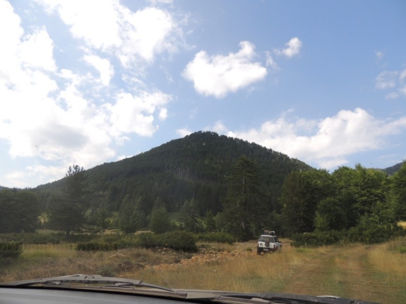 DSCN1443.jpg