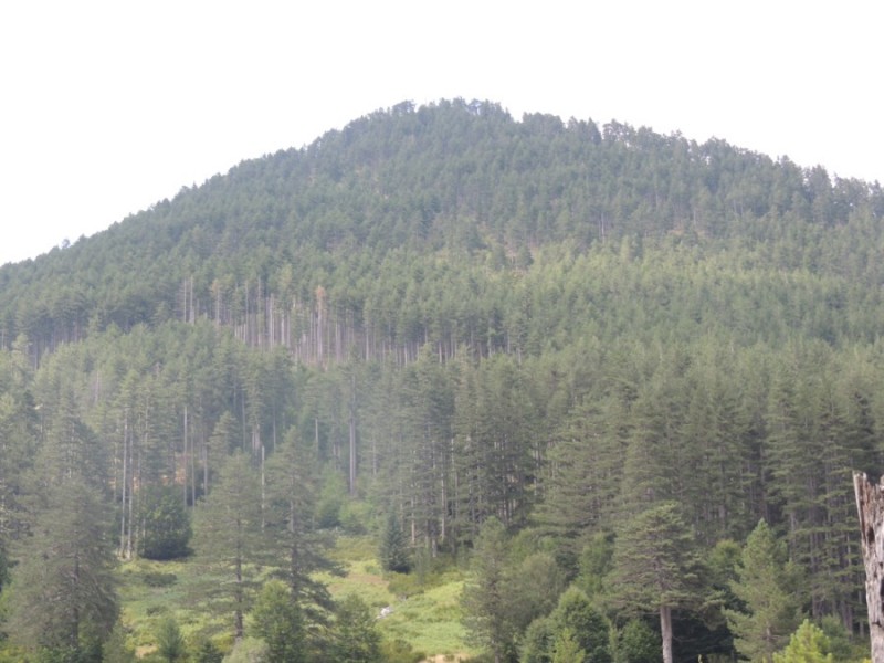 DSCN1446.jpg