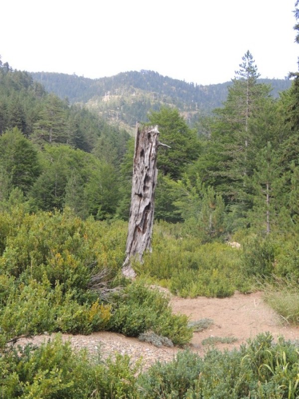 DSCN1447.jpg