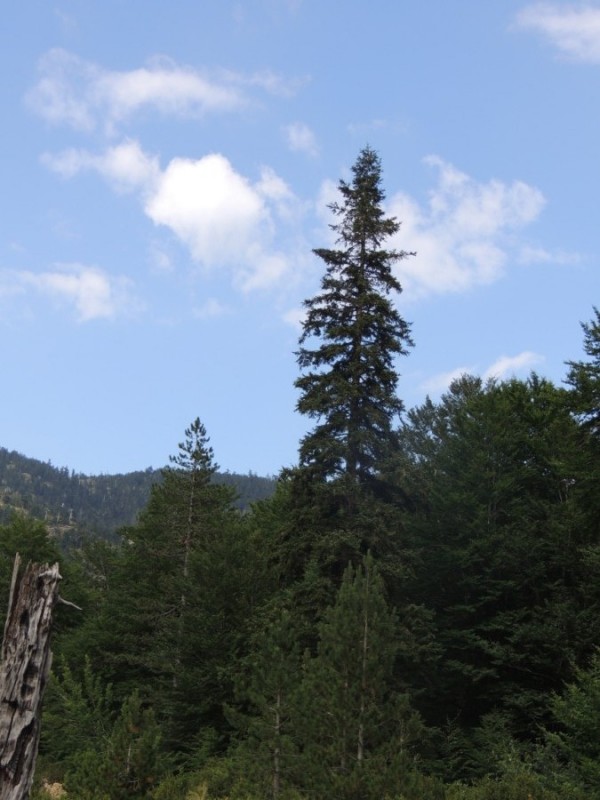 DSCN1448.jpg