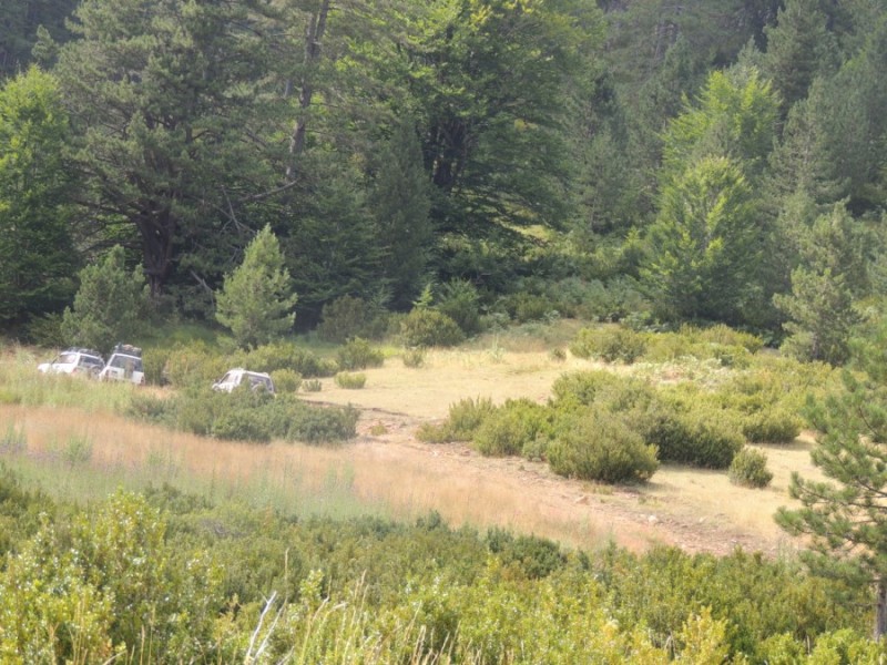 DSCN1451.jpg