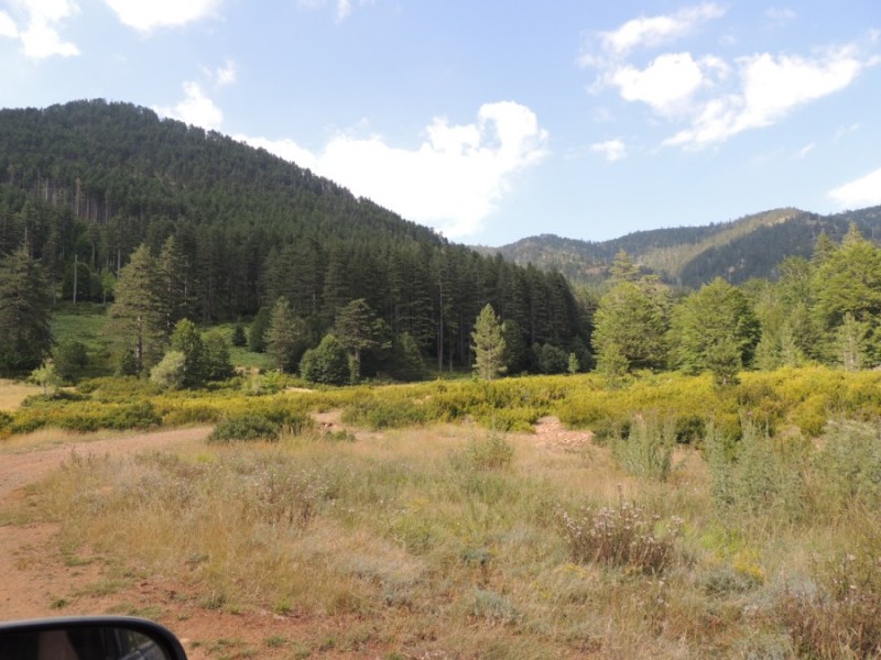 DSCN1452.jpg
