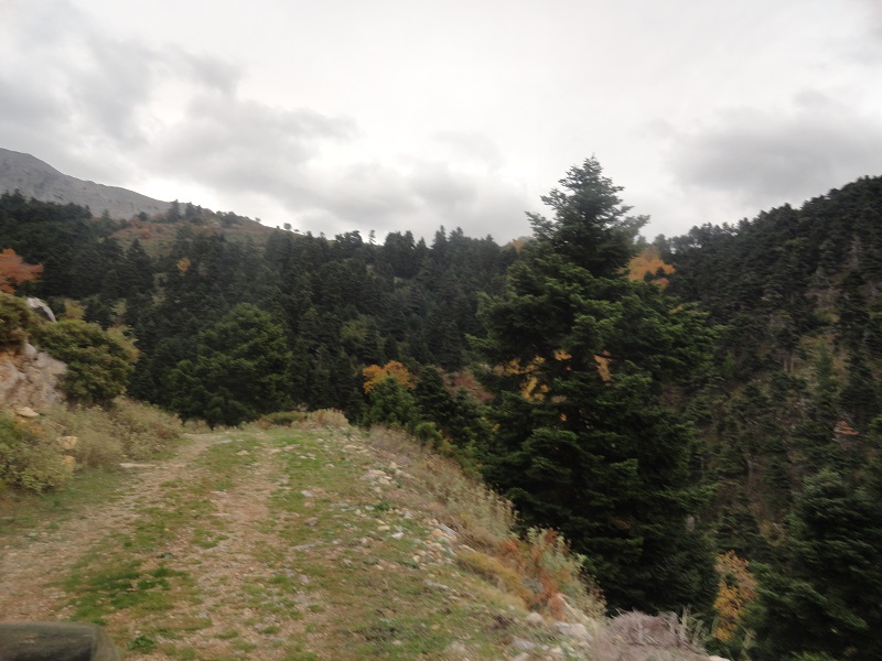 DSC04339.JPG