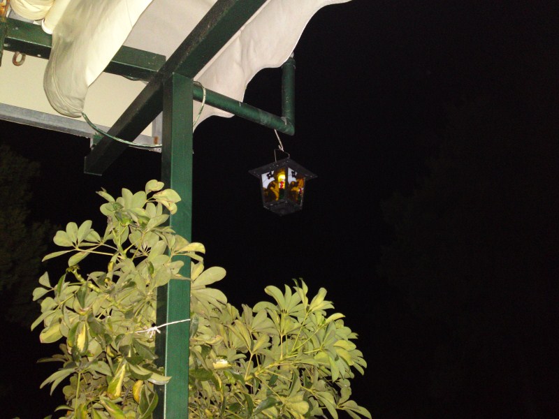 20072010183.jpg