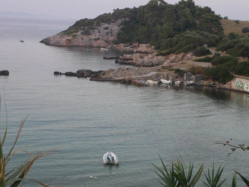 IMAG0004.jpg