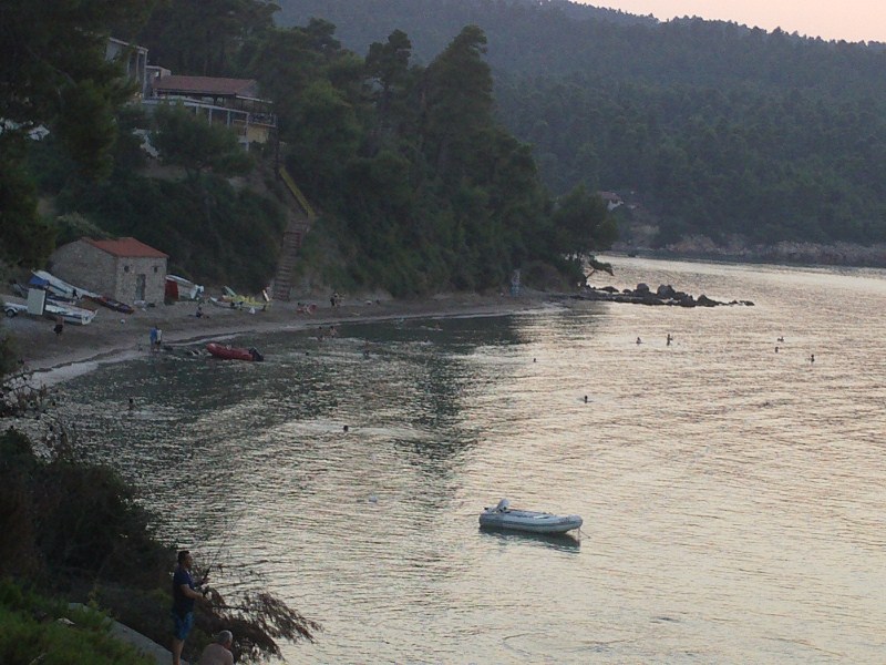IMAG0010.jpg
