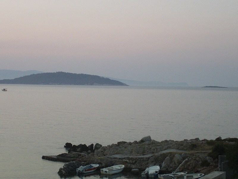 IMAG0013.jpg