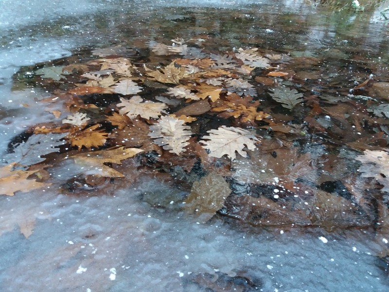 20161218_161224.jpg