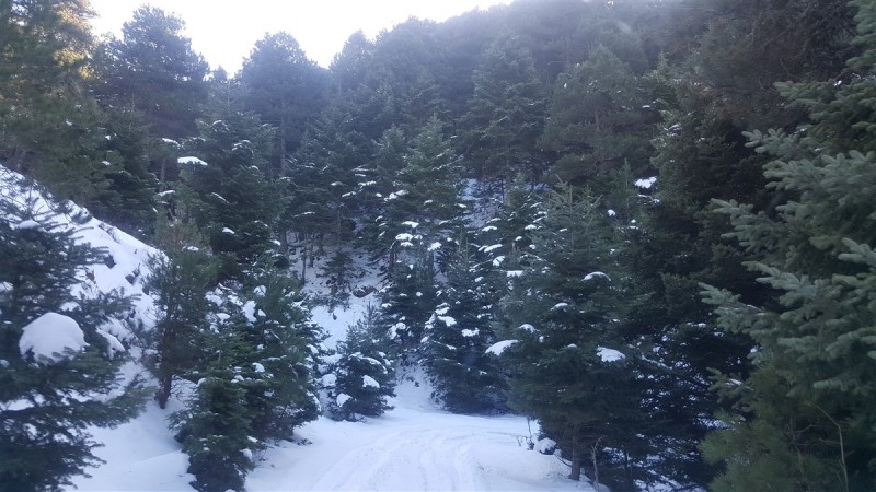 20161224_121843.jpg
