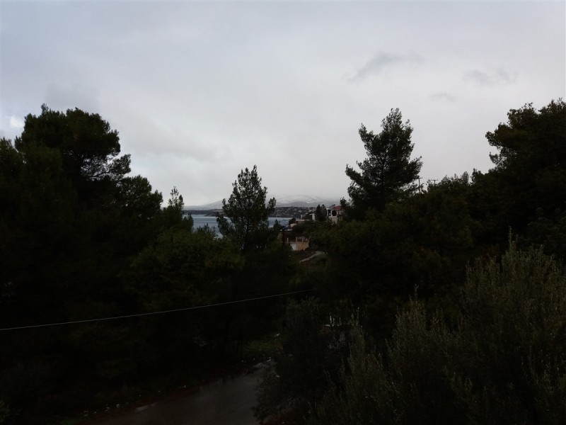 20161229_110432.jpg