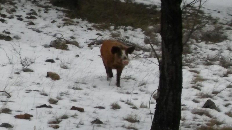 20161231_123526.jpg