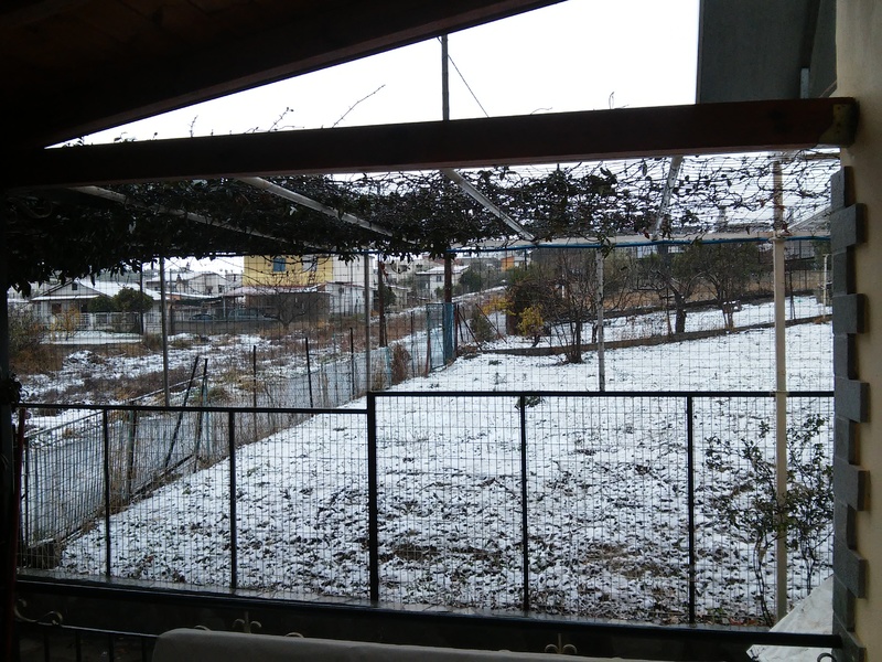 20161229_093407.jpg