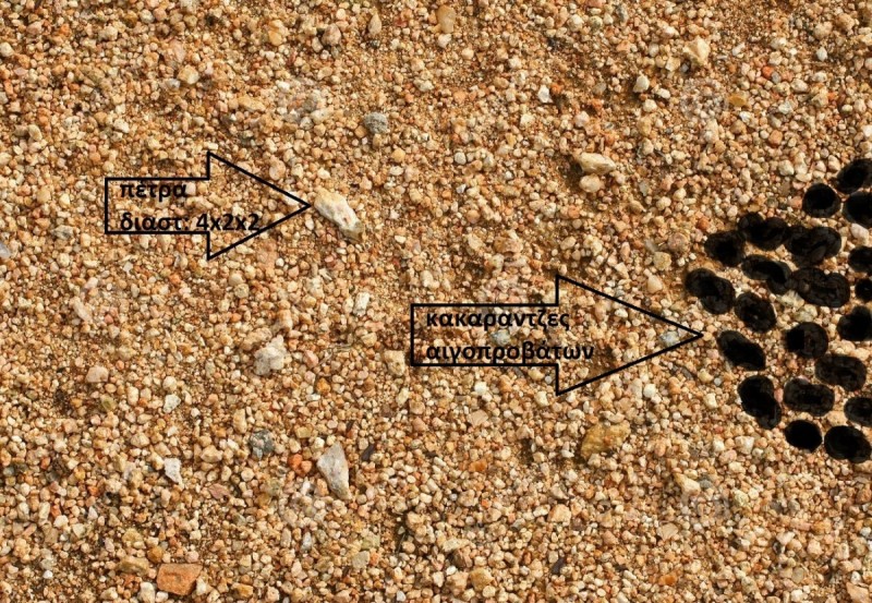 p8.jpg