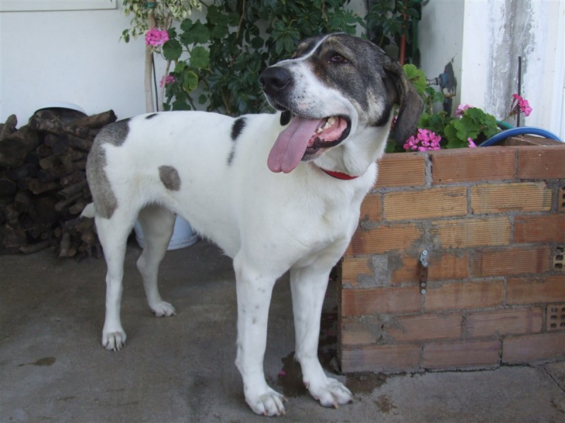 DSCF4660.jpg