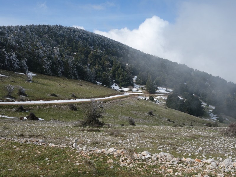 DSC00995.jpg