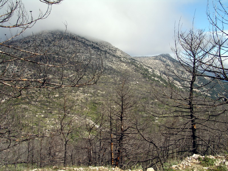 pa-013.jpg