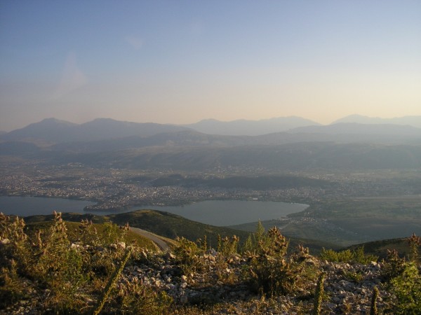 P1010354.jpg
