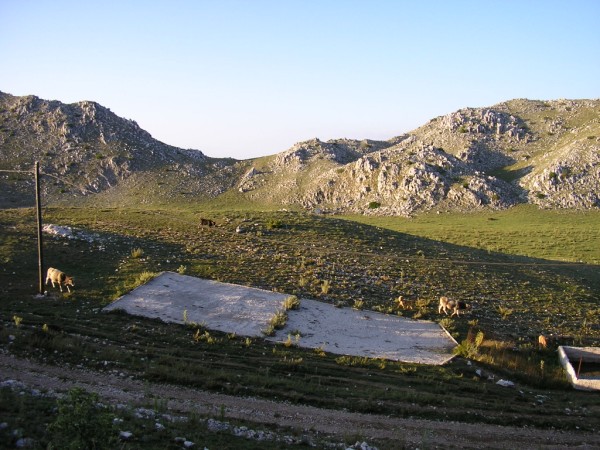 P1010356.jpg