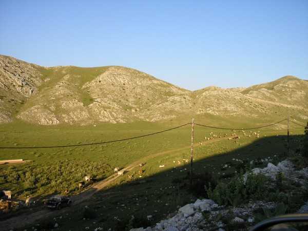 P1010357.jpg