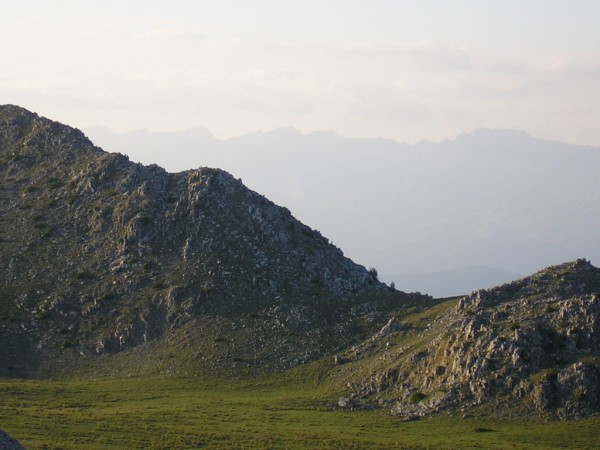 P1010358.jpg