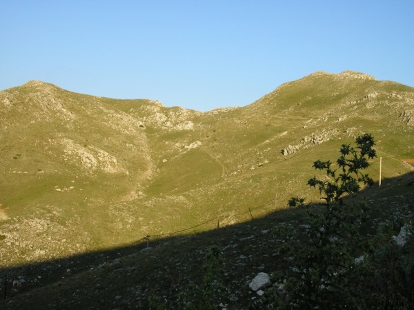 P1010366.jpg