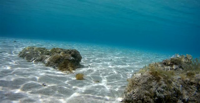 Χωρίς τίτλοσσ_640x331.jpg