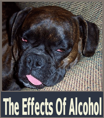 alcohol.gif